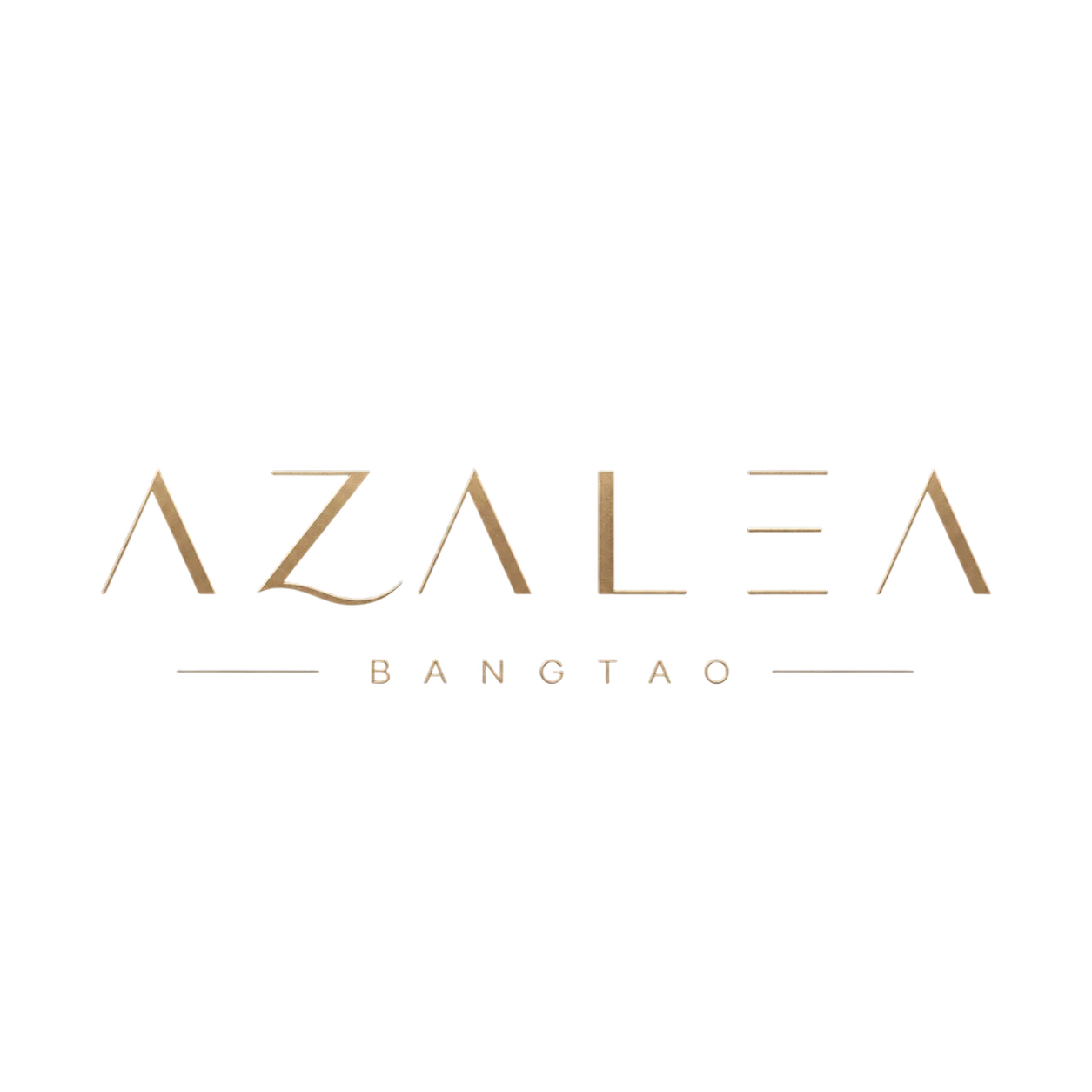 Logo Footer